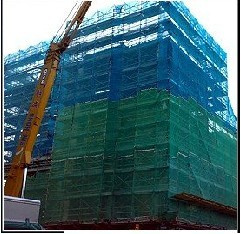 Scaffolding Net