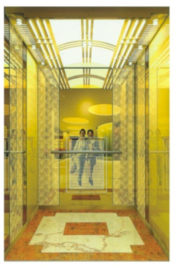 Environmental and Stable Elevator (DAIS229)