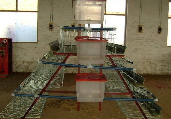 Chicken Farm Cage