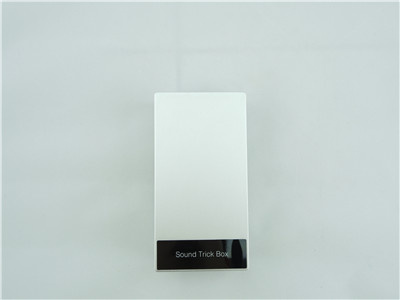 Speaker