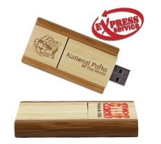 Original Design Wood USB Flash Disk