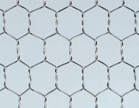 (Manufacturer) Galvanized/PVC Coated Hexagonal Wire Mesh/Livestock Wire Netting