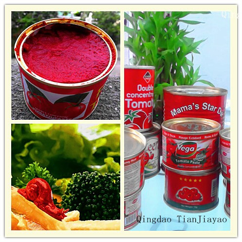 Double Concentrate Tomato Paste in Brix 28-30%
