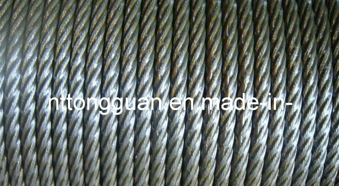 High Quality Steel Wire Rope 6*7, 6*12, 6*19, 6*24, 6*37, 6*36 (ws) , 6*25 (Fi)