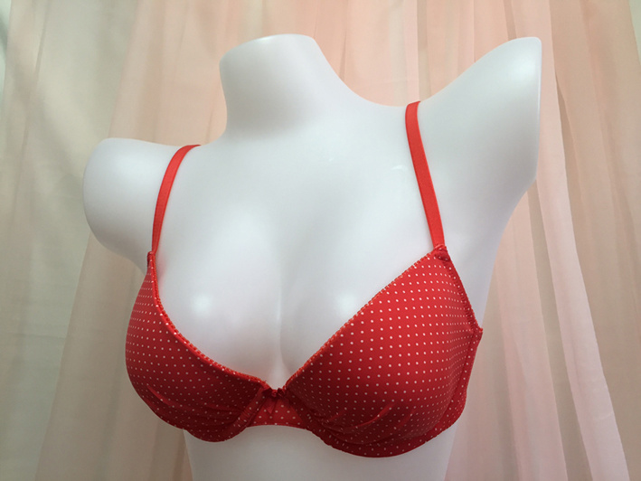 Underwear Red DOT Lady Bra Embroidery (FA-T001)