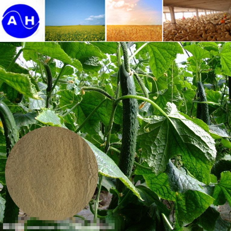 Multi-Element Amino Acid Chelate for Organic Fertilizer