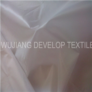 380t Full Dull Nylon Taffeta Fabric for Garment (DN3146)