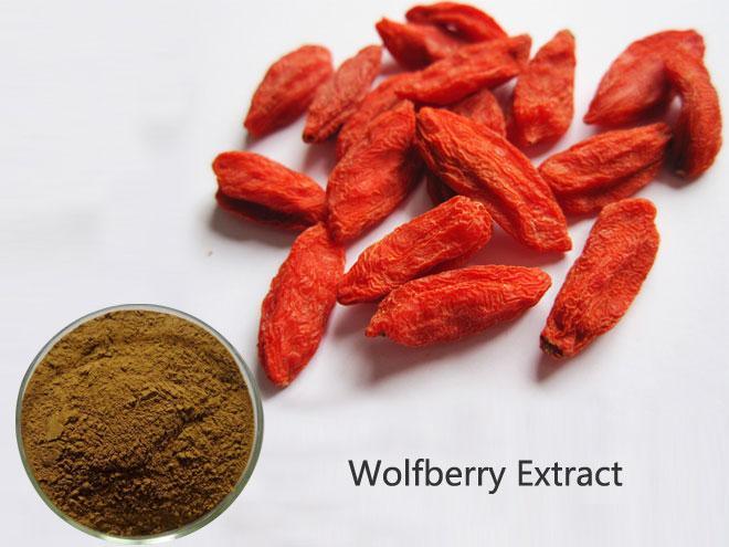 Natural Herbal Wolfberry Extract Powder