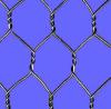 Hexagonal Wire Mesh