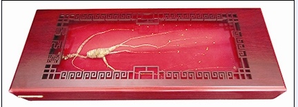 Ginseng (Panax ginseng C. A. Mey)