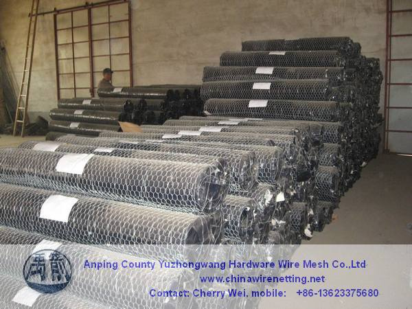 Anping Hexagonal Wire Mesh (Anping)