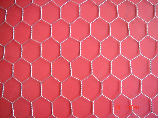 Galvanized Hexagonal Wire Netting