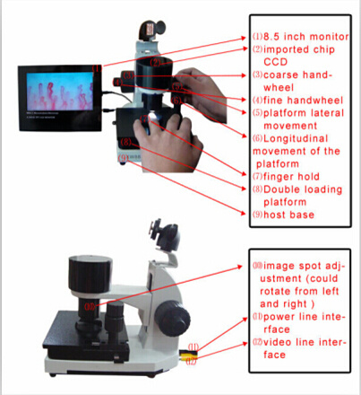 Professional Video Capillaroscope