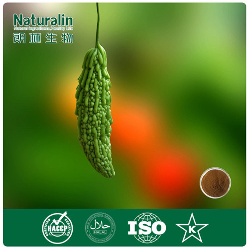 100% Organic Bitter Melon Extract Powder 100: 1 for Weight Loss