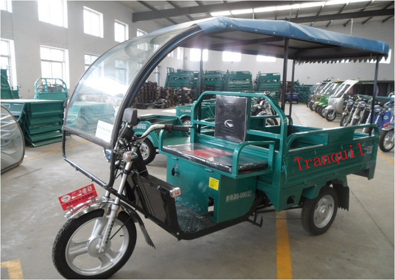 Cargo Electric Tricycle (AG-DS021 with Canopy)