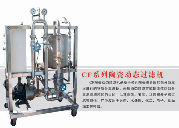 Dynamic Filter (CF)