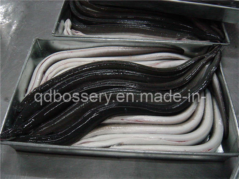 Frozen European Eel Fish
