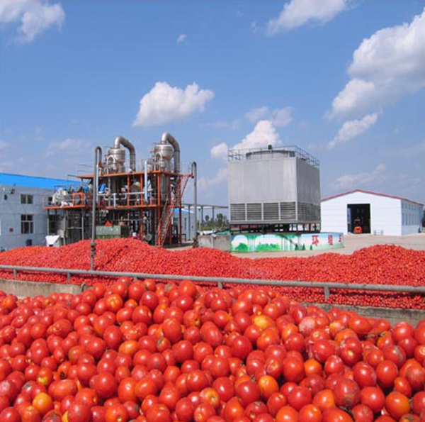 Fruit Paste Machine Manufacturers