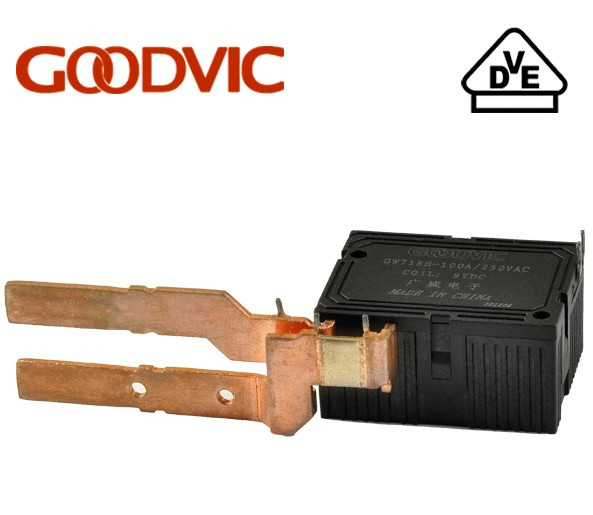 Magnetic Coil Self Latching Relay (GW718B)