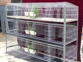 Rabbit Cage