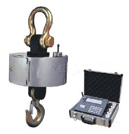 Wireless Crane Scale