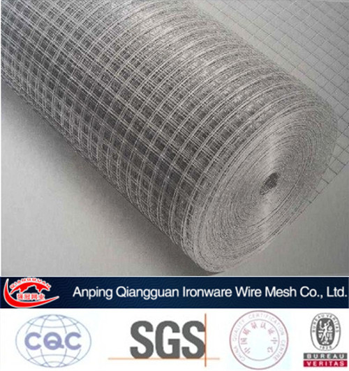 Welded Wire Mesh