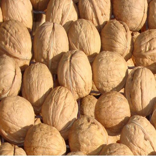 High Quality Walnut Kernel and Whole Walnut 28mm+