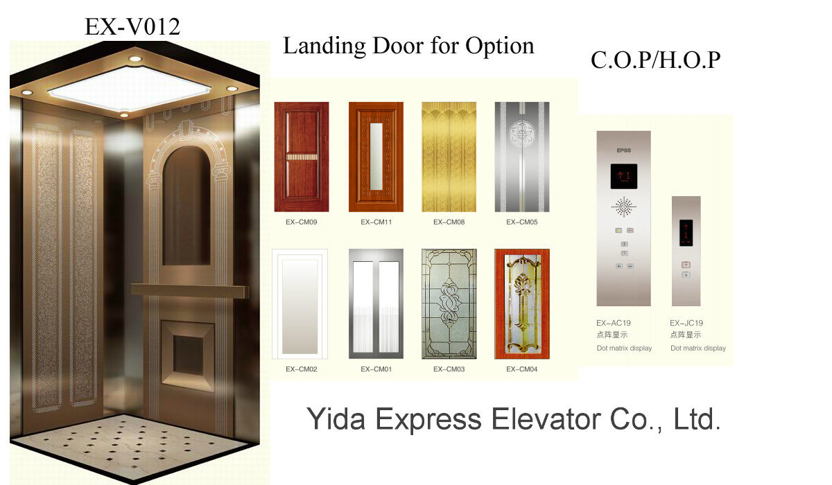 Luxury Home Elevator with Good Price