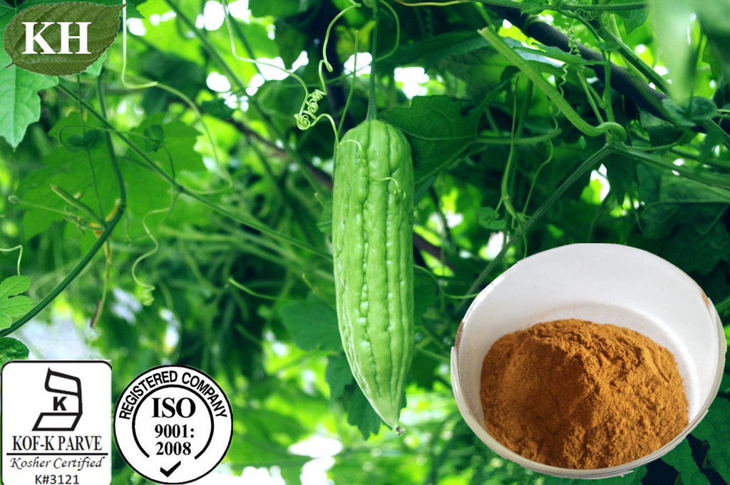 Bitter Melon Extract Bitter Gourd Extract Charantin