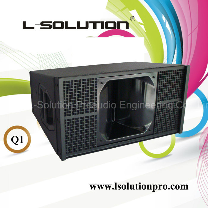 D&B Q1 Style Professional Line Array System