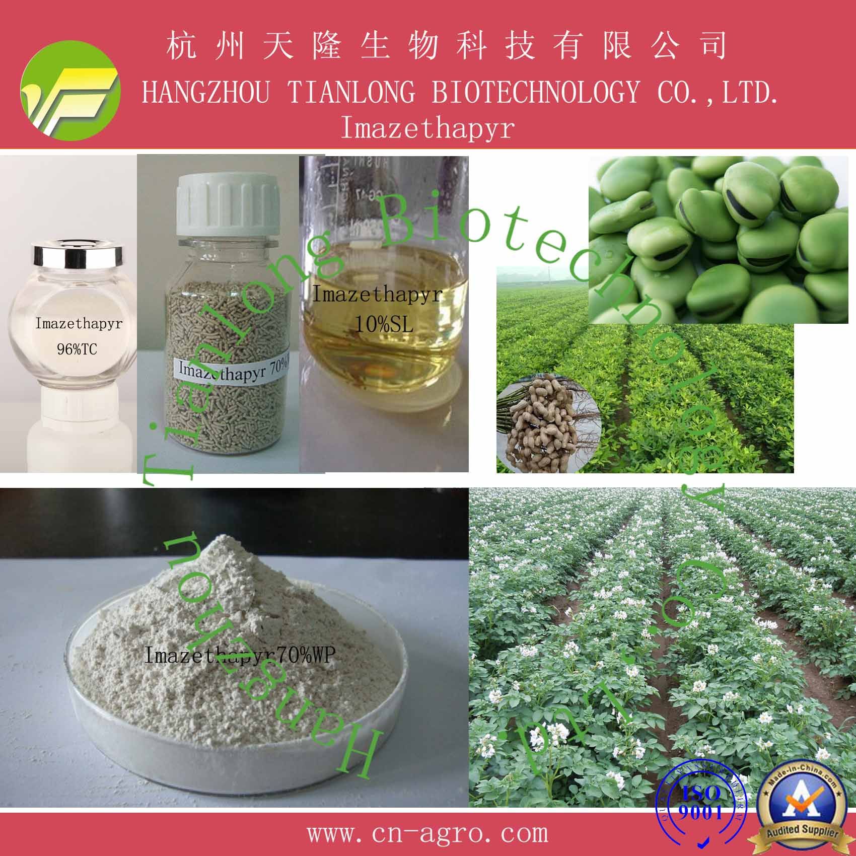 Price Preferential Herbicide Imazethapyr (97%TC, 5%SL, 10%SL, 70%WP, 70% WDG, 4% AS)