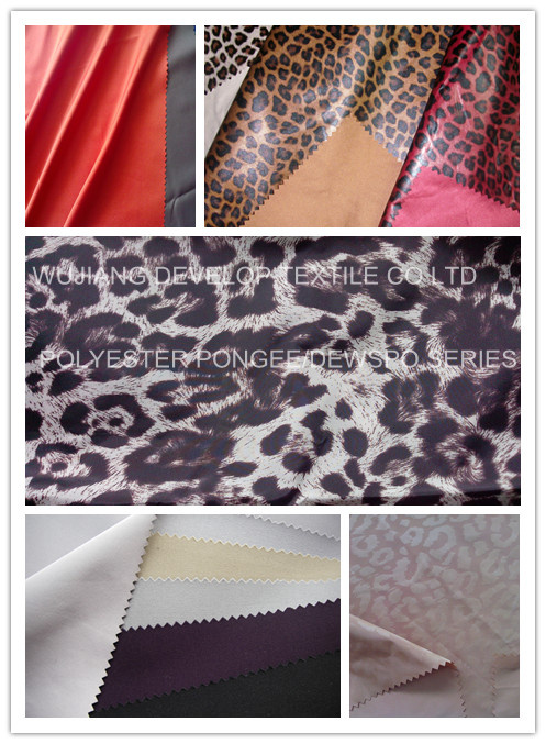 Polyester Fabric for Garment Fabric (PONGEE SERIES)