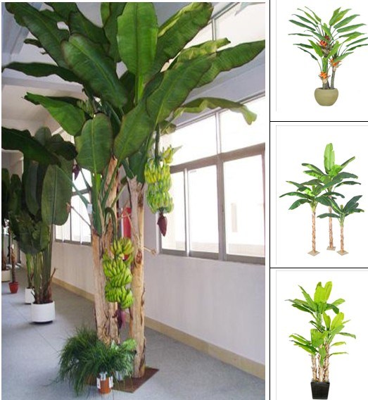 ISO9001 Look Real Artificial Banana Tree (for Decoration) 165cm