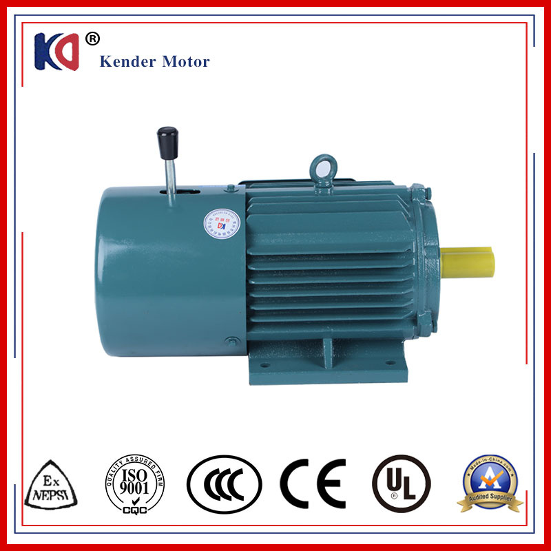 AC 3phase Induction Electric Motor with High Efficiency
