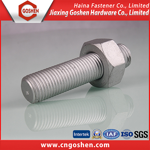Stainless Stee Hex Head Bolt with Nut