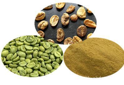 Green Coffee Bean Extract Powder to Loss Weight
