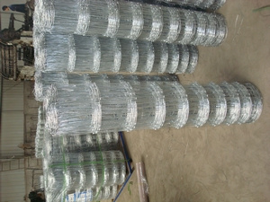 Galvanized Wire Mesh
