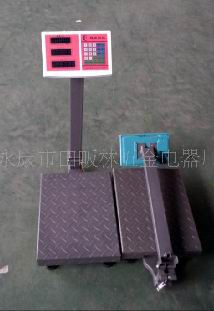Electronic Folding Platform Scale