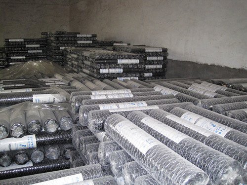 Galvanized Hexagonal Wire Netting (LY-S10)