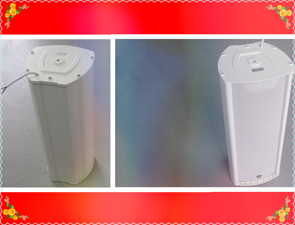 Professional Speaker Box Active Speaker