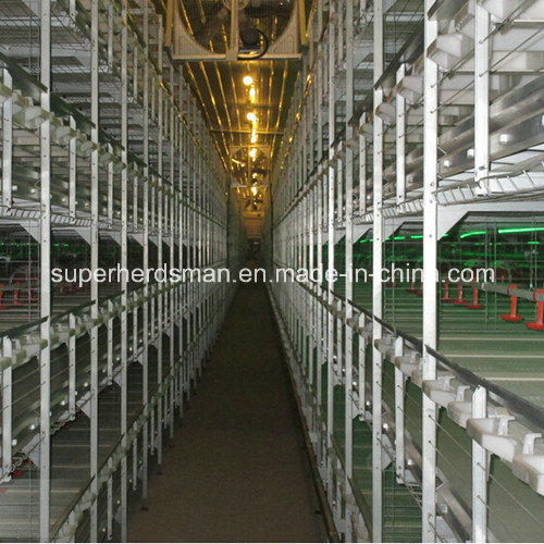 Hot Sale Poultry Equipment Chicken Cage Feeding System