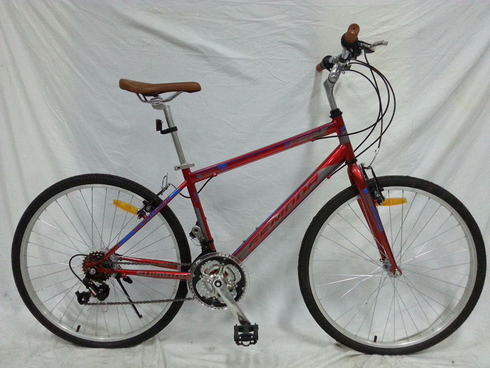 South America Good Quality 18speed Urban Bicycle (FP-CB-051)