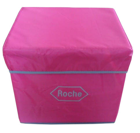 Solid Foldable Storage Stool