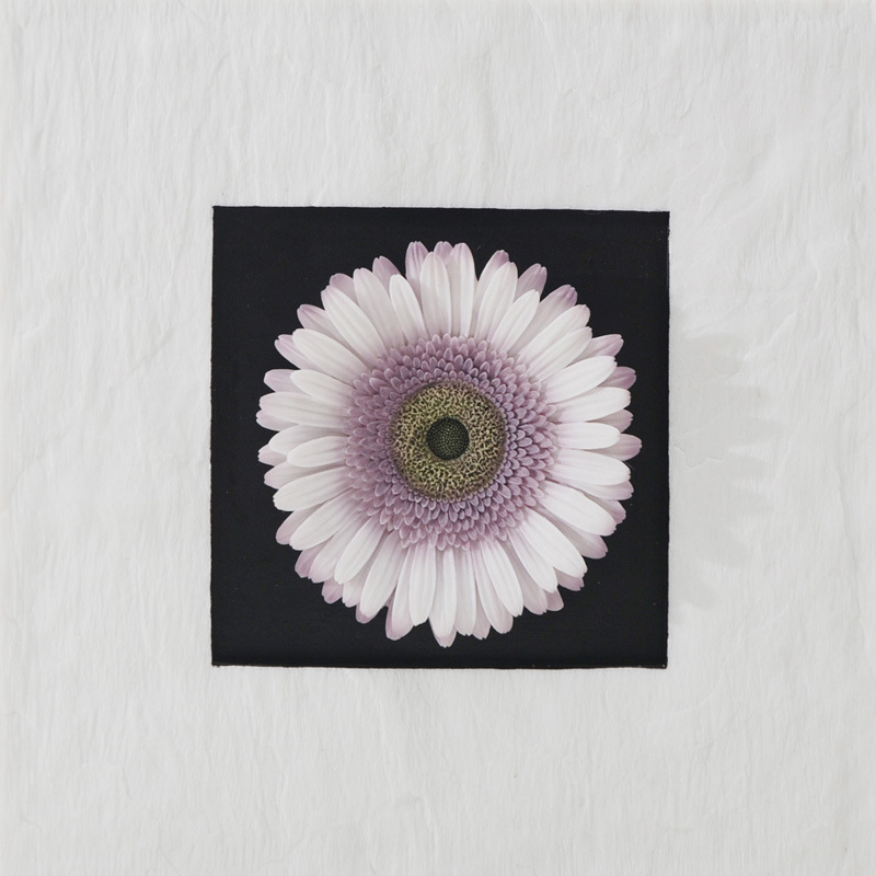 Resin Sandstone Purple Gerbera Flowers Wall-Mounted Decoration for Home Decoration or Hotel Decoration