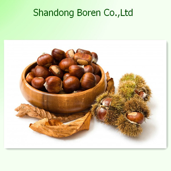 Chinese Professional Fresh Chestnut with High Quality