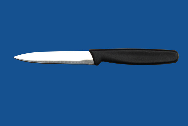 Paring Knife (356)
