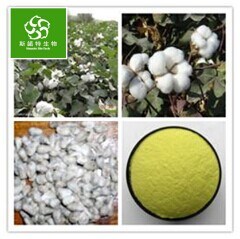 100% Natural Cotton Seed Extract Cotton Seed P. E.