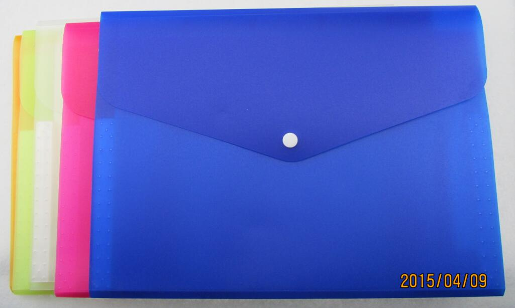 Expanding File 6 Pockets with Button (E054)