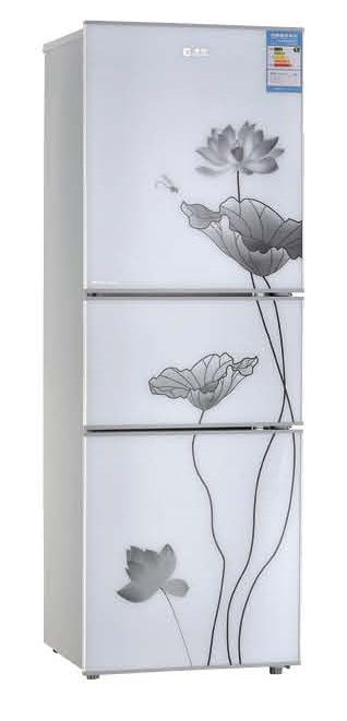 Ink Painting Pattern 219L Good Quality Refrigerator for Good Quality
