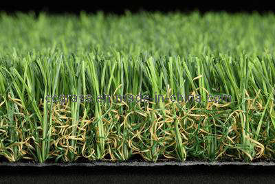 Landscape Grass